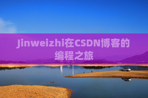 Jinweizhi在CSDN博客的编程之旅
